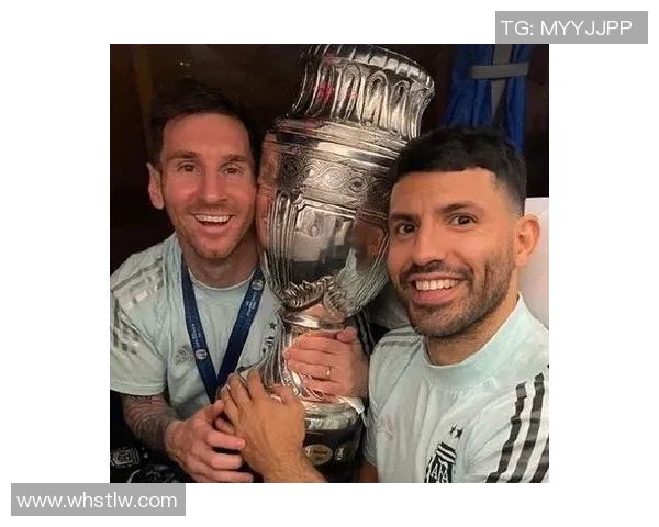 足球明星罗彬的辉煌成就与职业生涯全景解析